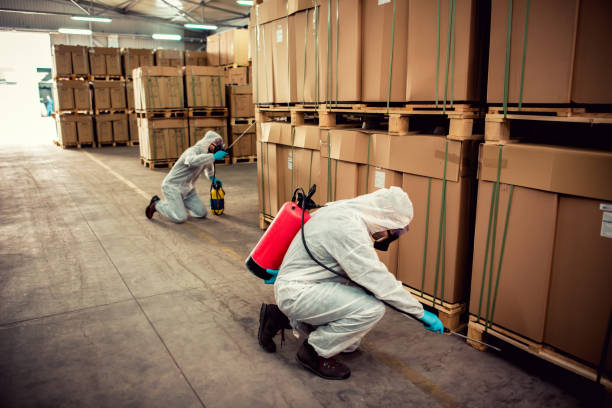 Best Flea Control Services  in Denmark, WI