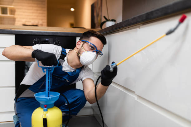 Best Local Pest Control Services  in Denmark, WI