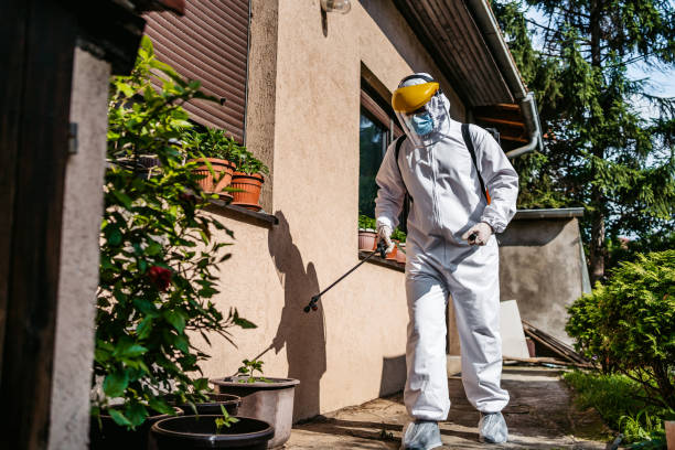 Best Cockroach Control Services  in Denmark, WI