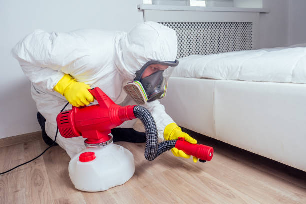 Reliable Denmark, WI Pest Control Solutions