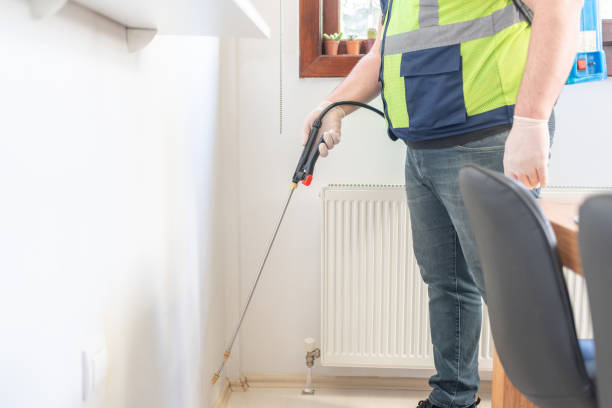 Best Ant Control Services  in Denmark, WI