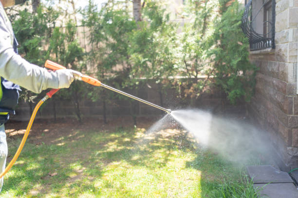 Best Pest Removal Services  in Denmark, WI