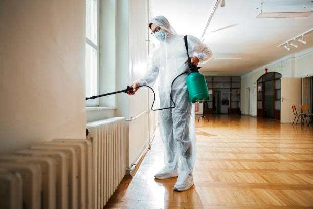 Best Pest Inspection Near Me  in Denmark, WI